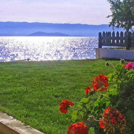 Finata (adults Only) 2* Kavos